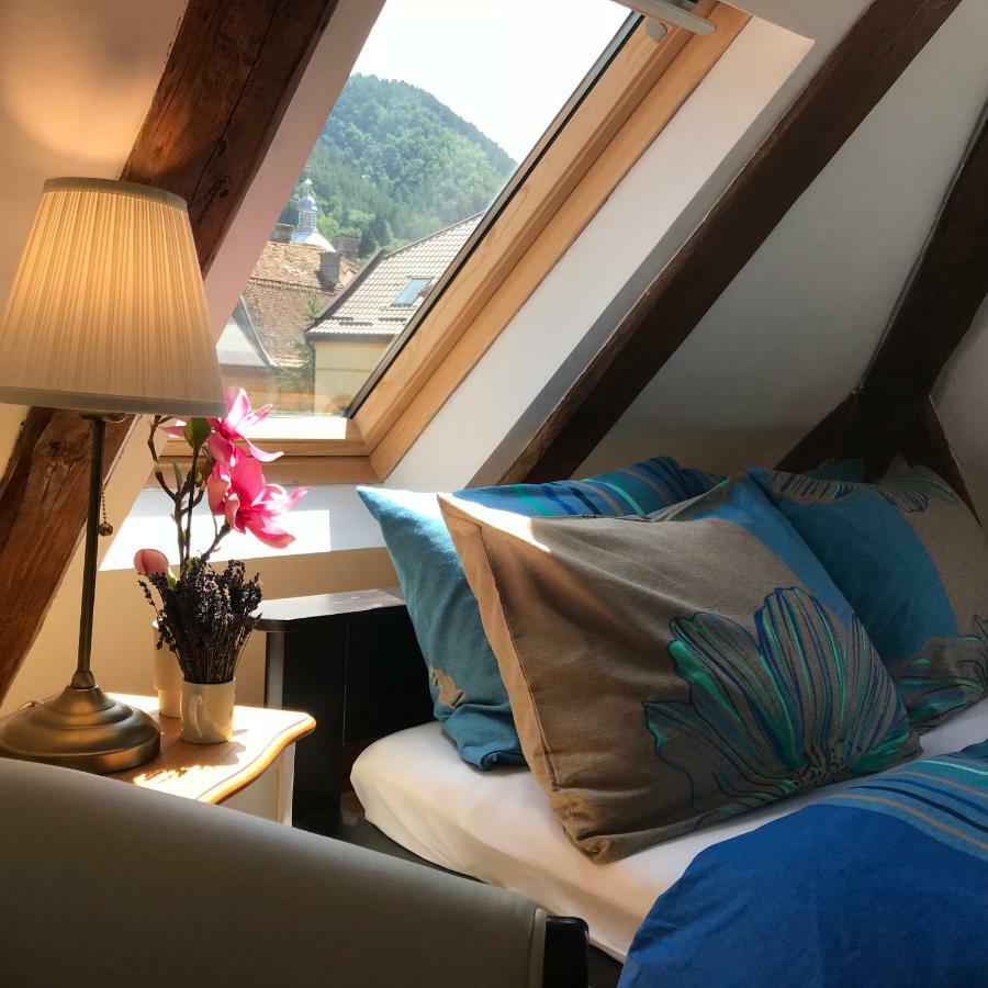 Apartment Oaza De Relaxare